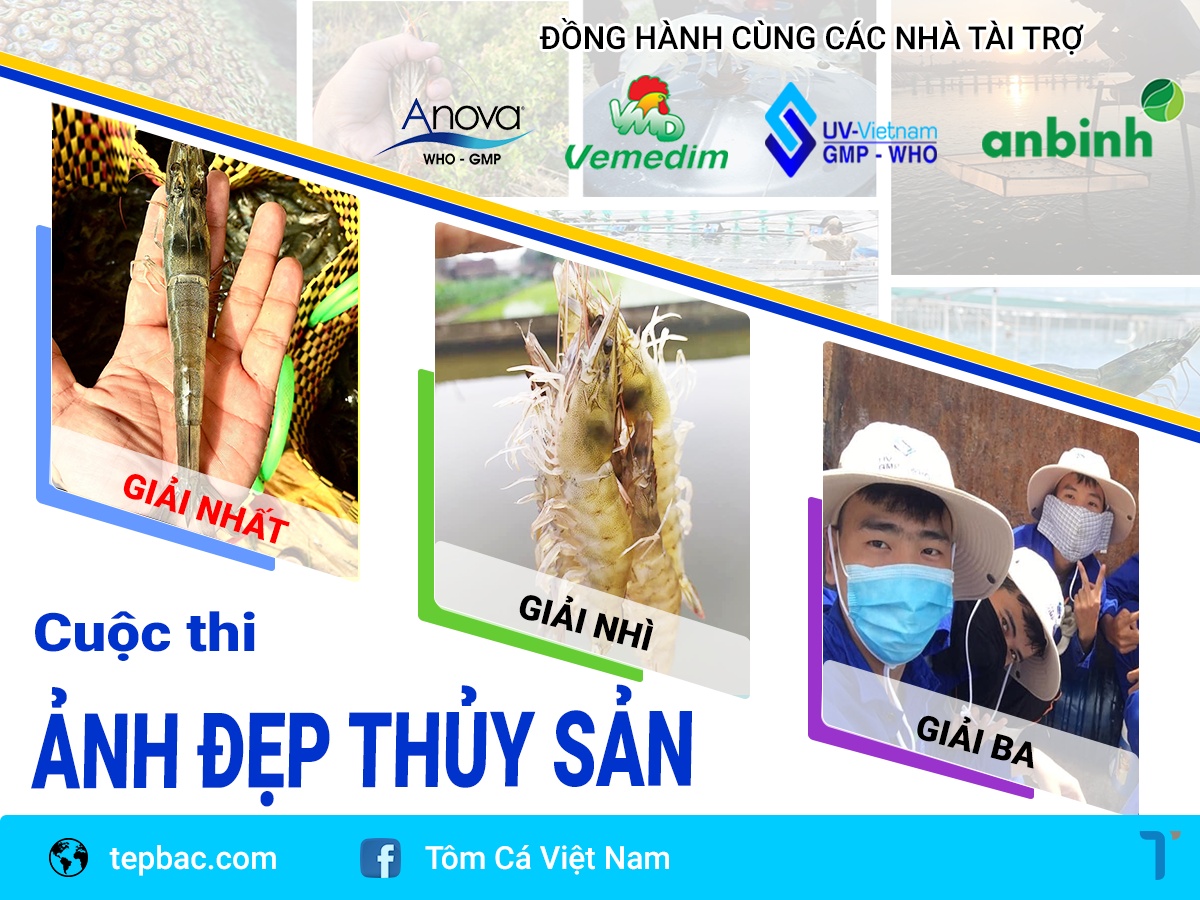 Ảnh đẹp thủy sản 2021